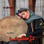 دانلود رمان دژکوب pdf از مدیا خجسته