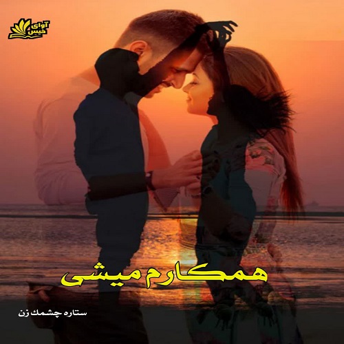 همکارم میشی