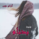 دانلود رمان بدنام pdf از Coral