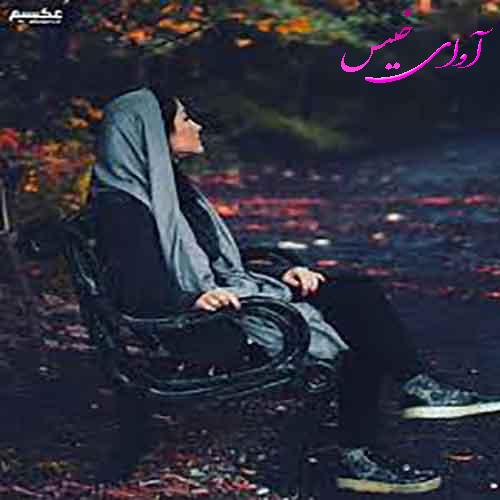 دانلود رمان ته کلاس ردیف آخر صندلی آخر pdf از لوییس سکر با لینک مستقیم