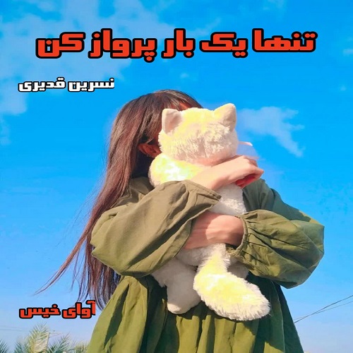 تنها یک بار پرواز کن