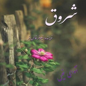 دانلود رمان شروق pdf از نیلوفر قائمی فر با لینک مستقیم