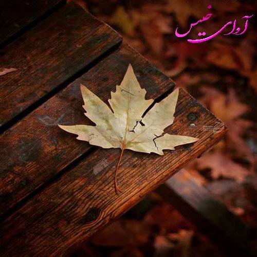 دانلود رمان روزهای پاییزی pdf از هستی ابراهیم‌نیا با لینک مستقیم