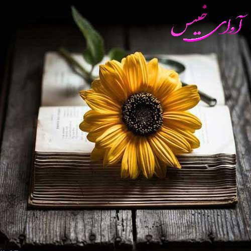 دانلود رمان گل های آفتابگردان pdf از صدف با لینک مستقیم