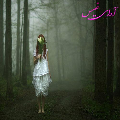 دانلود رمان به کام و آرزوی دل pdf از شاذه با لینک مستقیم