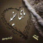 دانلود رمان ماهی سفید pdf از sherry.si با لینک مستقیم دانلود رمان ماهی سفید pdf از sherry.si با لینک مستقیم