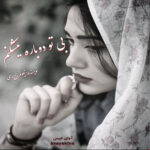 دانلود رمان بی تو دوباره میشکنم pdf از نیلوفر.ح.ی با لینک مستقیم