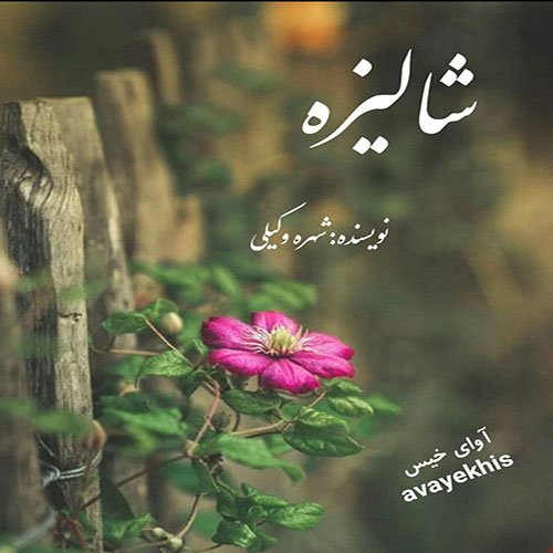 دانلود رمان شالیزه pdf از شهره وکیلی لینک مستقیم