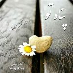 دانلود رمان پناه تو pdf از کمند_مشکات با لینک مستقیم