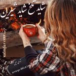 دانلود رمان شاید تلخ…شاید شیرین pdf از noloufar1999 با لینک مستقیم