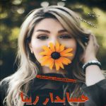  دانلود رمان حسابدار زیبا pdf از ناشناس بی احساس