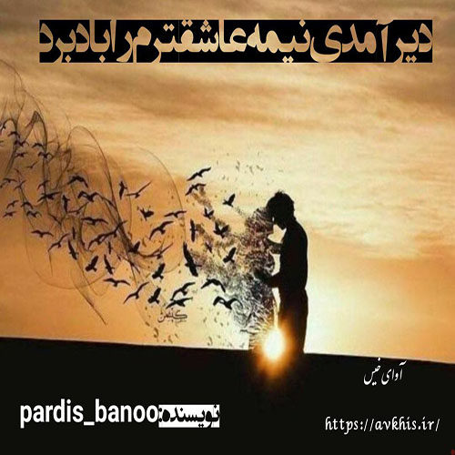 دانلود رمان دیر آمدی نیمه عاشقترم را باد برد pdf از pardis_banoo با لینک مستقیم