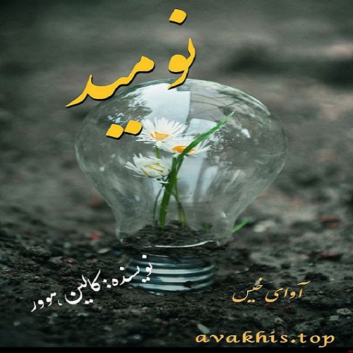 دانلود رمان نومید pdf از کالین هوور با لینک مستقیم