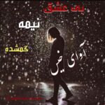 دانلود رمان بی عشق نیمه گمشده pdf از کیانا بهمن زاد با لینک مستقیم