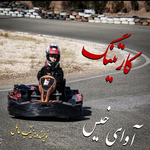دانلود رمان کارتینگ pdf از زینب عامل