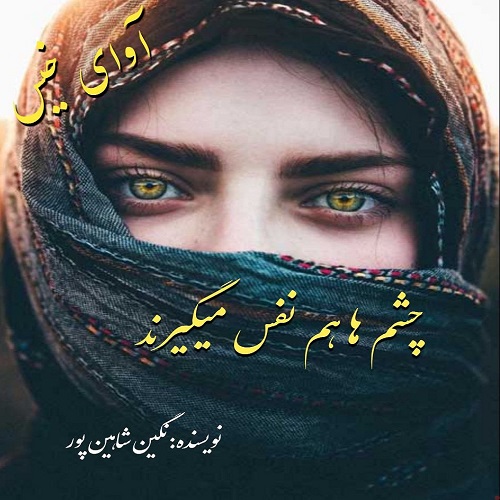 دانلود رمان چشم ها هم نفس میگیرند pdf از نگین شاهین پور