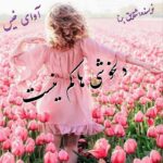 دانلود رمان دلخوشی ها کم نیست pdf از صدیقه احمدی