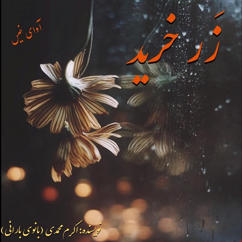 زرخرید