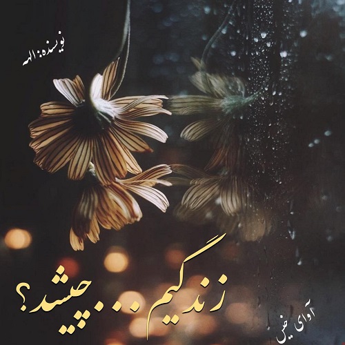 زندگیم...چیشد؟