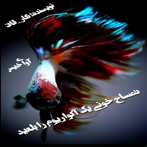 دانلود رمان تمساح خونی یک آکواریوم را بلعید pdf از نگار_قاف