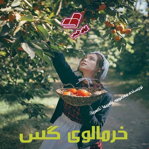 دانلود رمان خرمالوی گس pdf از معصومه راهپیما (کهربا)