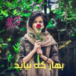 دانلود رمان بهار که بیاید pdf از فاطمه ایمانی