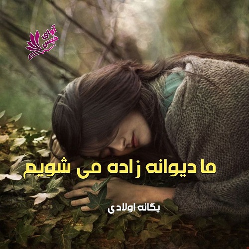 ما دیوانه زاده می شویم