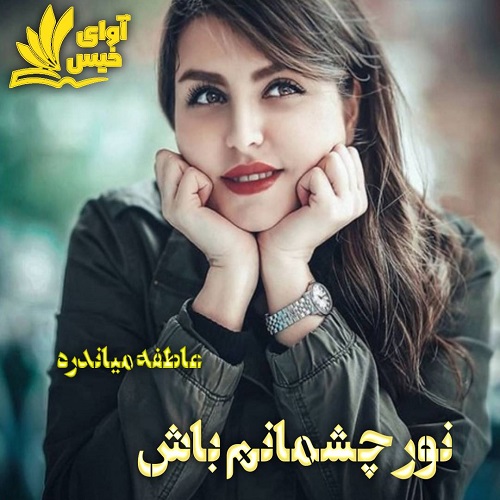 دانلود رمان نور چشمانم باش pdf از عاطفه میاندره