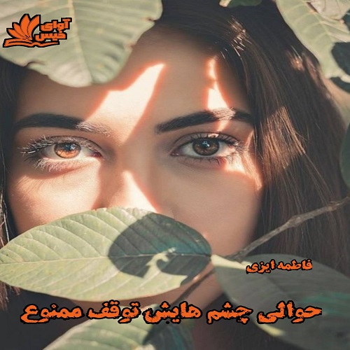 حوالی چشم هایش توقف ممنوع