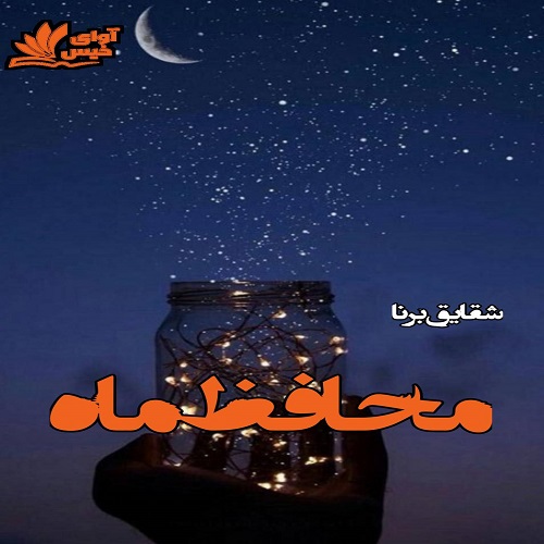 محافظ ماه