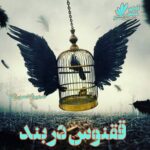 دانلود رمان ققنوس در بند pdf از محدثه کمالی