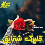 دانلود رمان گلبرگ شقایق pdf از سمیرا موسعلی