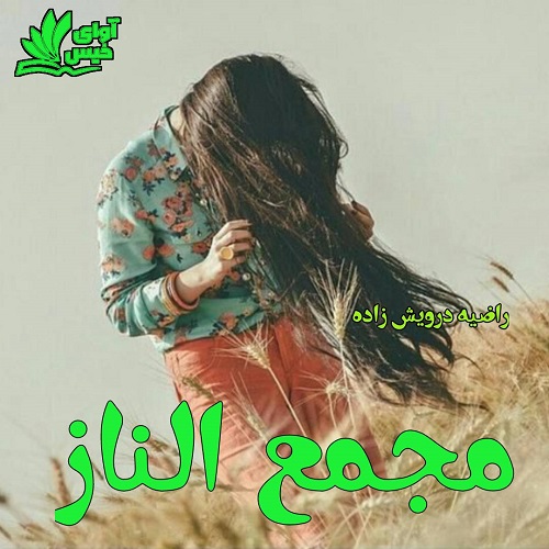 دانلود فایل رایگان مجمع الناز pdf 
