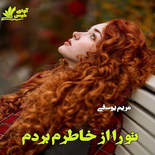 دانلود رمان تو را از خاطرم بردم pdf با لینک مستقیم