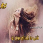 دانلود رمان شبی به بلندای موی تو pdf از شهرزاد شیرانی و بهار برادران دانلود رمان شبی به بلندای موی تو pdf از شهرزاد شیرانی و بهار برادران