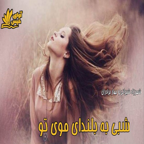 دانلود رمان شبی به بلندای موی تو pdf از شهرزاد شیرانی و بهار برادران دانلود رمان شبی به بلندای موی تو pdf از شهرزاد شیرانی و بهار برادران
