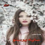 دانلود رمان سایه پرستو pdf از هینا محرر