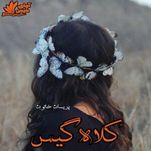دانلود دلنوشته کلاه گیس pdf با لینک مستقیم 