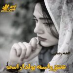 دانلود رمان عشق واسه پولداراست pdf از الهه رضایی