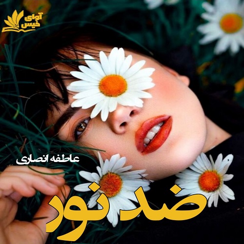 دانلود رمان ضد نور pdf از عاطفه انصاری دانلود رمان ضد نور pdf از عاطفه انصاری