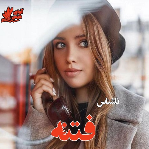 دانلود رمان فتنه pdf از ناشناس