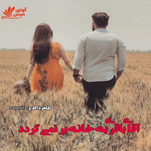 آقای باقری به خانه بر نمی گردد 