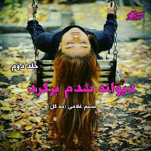دیوانه شدم برگرد جلد دوم