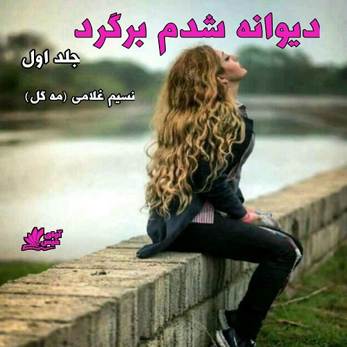 دانلود رمان دیوانه شدم برگرد جلد اول pdf از مه گل