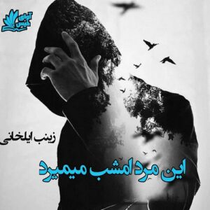دانلود رمان این مرد امشب میمیرد pdf زینب ایلخانی با لینک مستقیم
