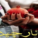 دانلود رمان انارچین pdf از فاطمه ایمانی دانلود رمان انارچین pdf از فاطمه ایمانی
