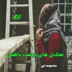 دانلود رمان سنگدل های دوس داشتنی pdf از معصومه آبی 
