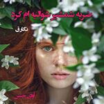 دانلود رمان ضربه شمشیر شوالیه ام کرد pdf از نگار ق