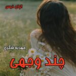 دانلود رمان چند وجهی pdf از مهدیه شکری