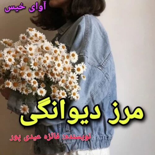 دانلود رمان مرز دیوانگی pdf فائزه عیدی پور دانلود رمان مرز دیوانگی pdf فائزه عیدی پور